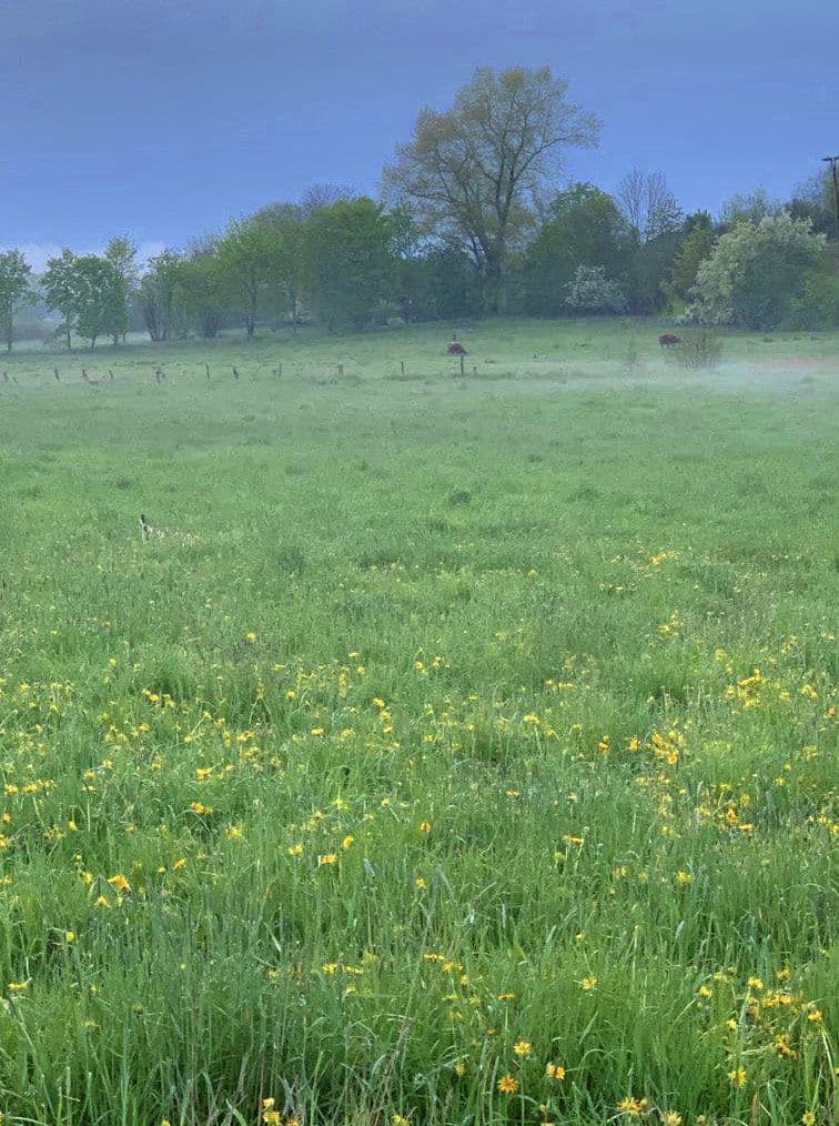 Pronájem pozemku 14.000 m², Hohenwestedt, Šlesvicko-Holštýnsko Pronájem pozemku 14.000 m², Hohenwestedt, Šlesvicko-Holštýnsko