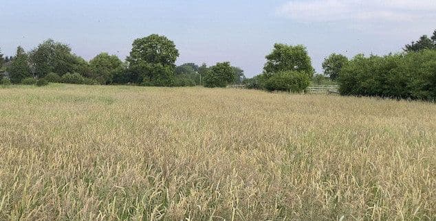 Pronájem pozemku 14.000 m², Hohenwestedt, Šlesvicko-Holštýnsko Pronájem pozemku 14.000 m², Hohenwestedt, Šlesvicko-Holštýnsko