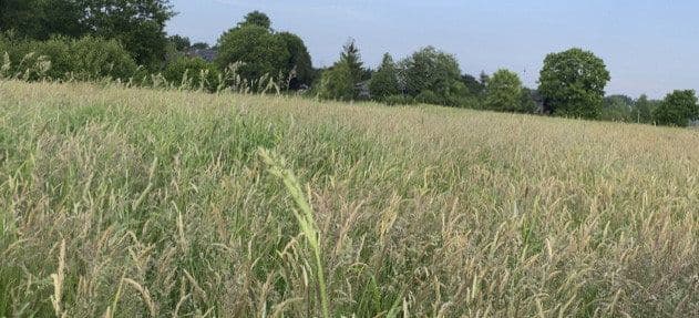 Pronájem pozemku 14.000 m², Hohenwestedt, Šlesvicko-Holštýnsko Pronájem pozemku 14.000 m², Hohenwestedt, Šlesvicko-Holštýnsko