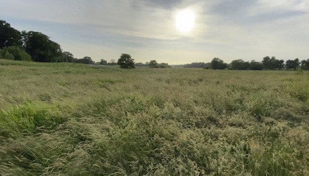Pronájem pozemku 14.000 m², Hohenwestedt, Šlesvicko-Holštýnsko Pronájem pozemku 14.000 m², Hohenwestedt, Šlesvicko-Holštýnsko