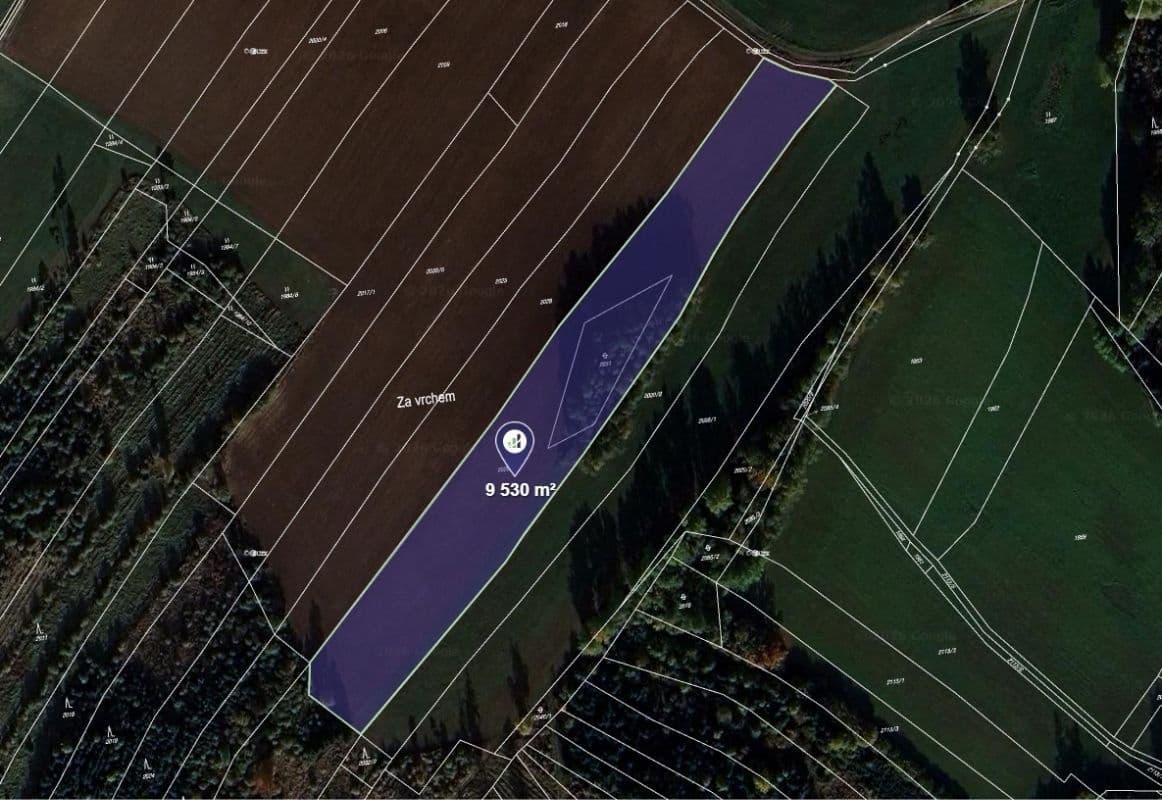Prodej pozemku 9.530 m², Sedlejov, Kraj Vysočina Prodej pozemku 9.530 m², Sedlejov, Kraj Vysočina
