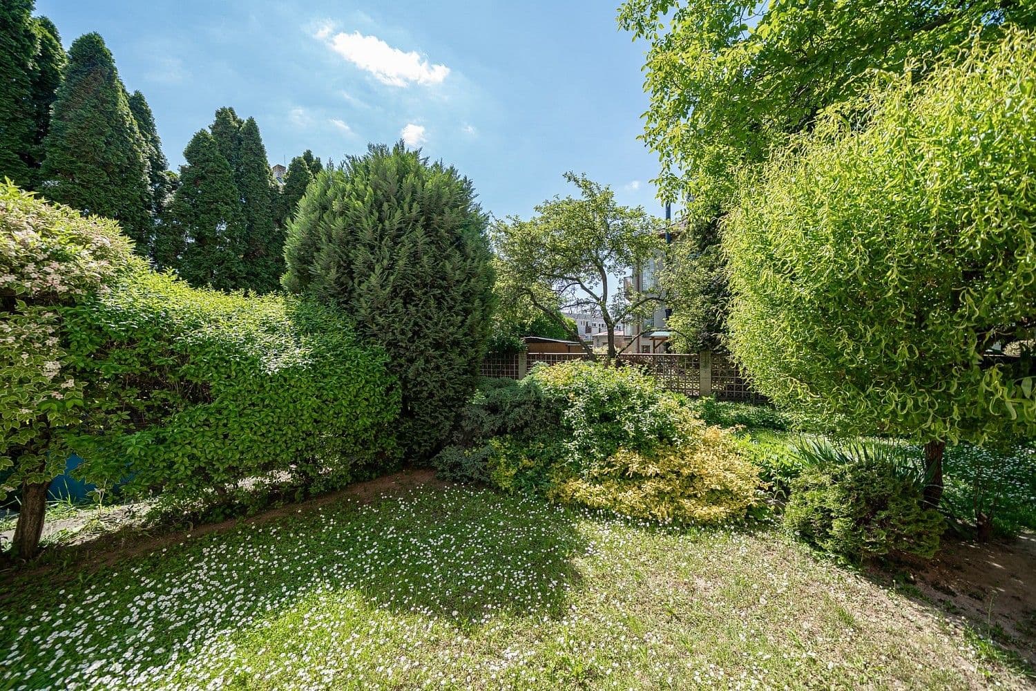 Prodej bytu 203 m², Českobratrská, Olomouc, Olomoucký kraj Prodej bytu 203 m², Českobratrská, Olomouc, Olomoucký kraj
