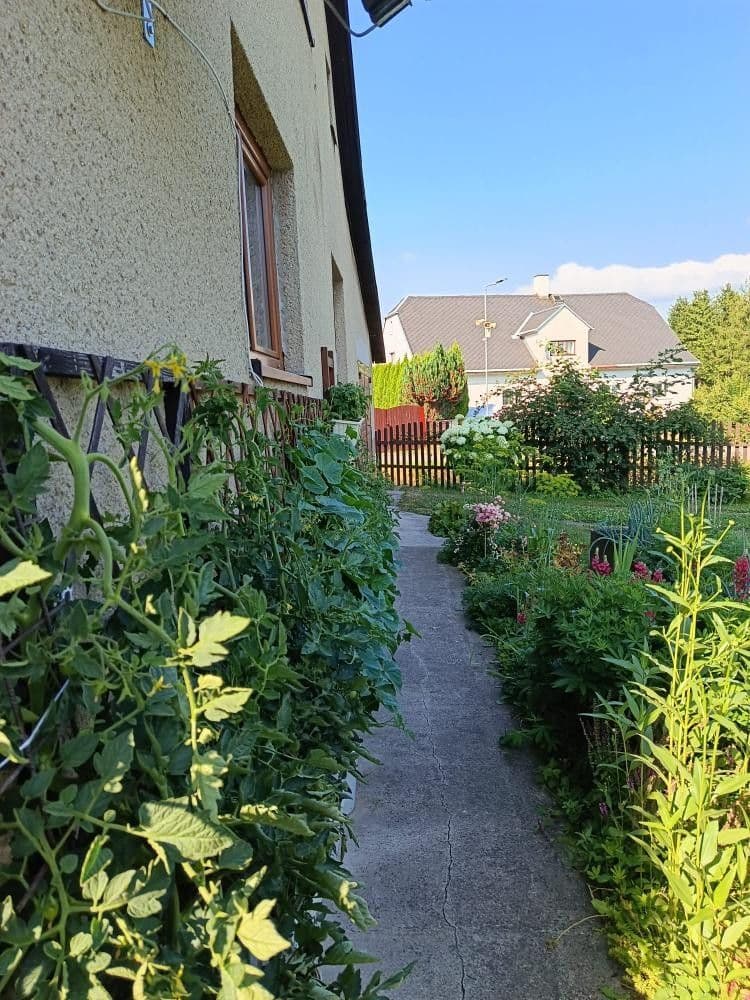 Prodej domu 170 m², pozemek 938 m², Červená Voda, Pardubický kraj Prodej domu 170 m², pozemek 938 m², Červená Voda, Pardubický kraj