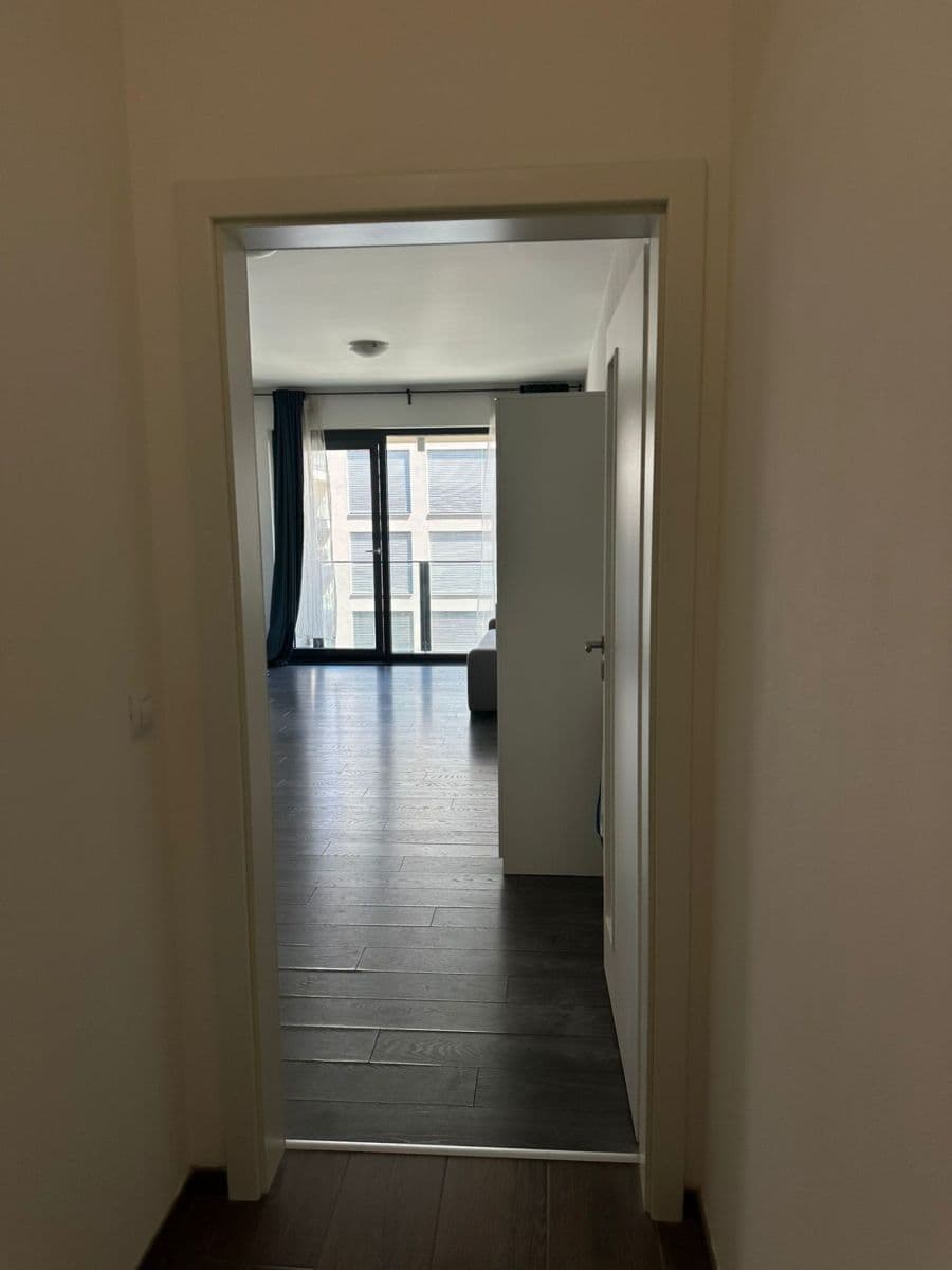 Pronájem bytu 1+kk 35 m², U Mlýnského kanálu, Praha, Praha Pronájem bytu 1+kk 35 m², U Mlýnského kanálu, Praha, Praha
