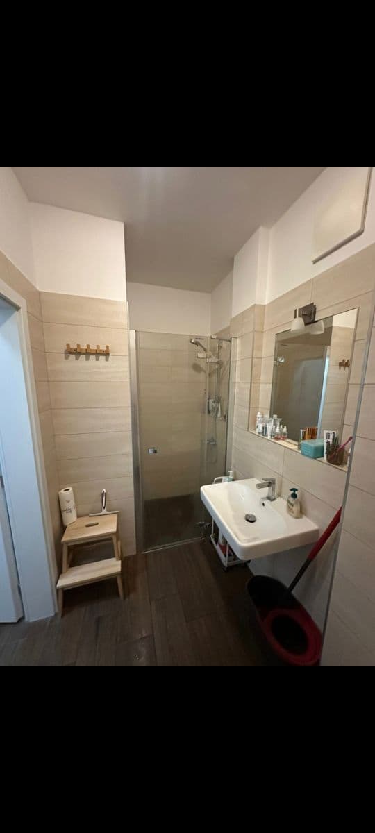 Pronájem bytu 1+kk 35 m², U Mlýnského kanálu, Praha, Praha Pronájem bytu 1+kk 35 m², U Mlýnského kanálu, Praha, Praha