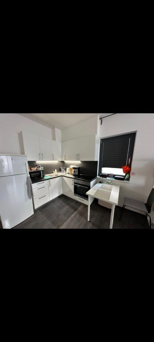 Pronájem bytu 1+kk 35 m², U Mlýnského kanálu, Praha, Praha Pronájem bytu 1+kk 35 m², U Mlýnského kanálu, Praha, Praha