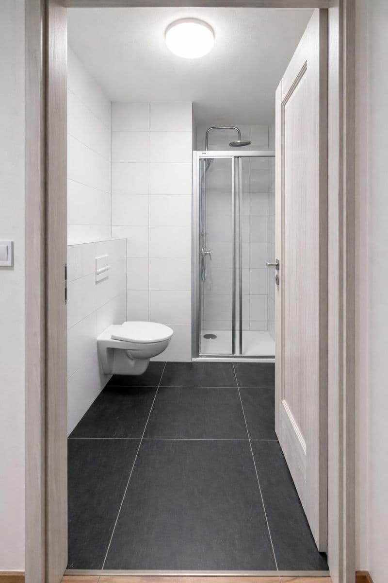 Pronájem bytu 1+kk 36 m², Na Petynce, Praha, Praha Pronájem bytu 1+kk 36 m², Na Petynce, Praha, Praha