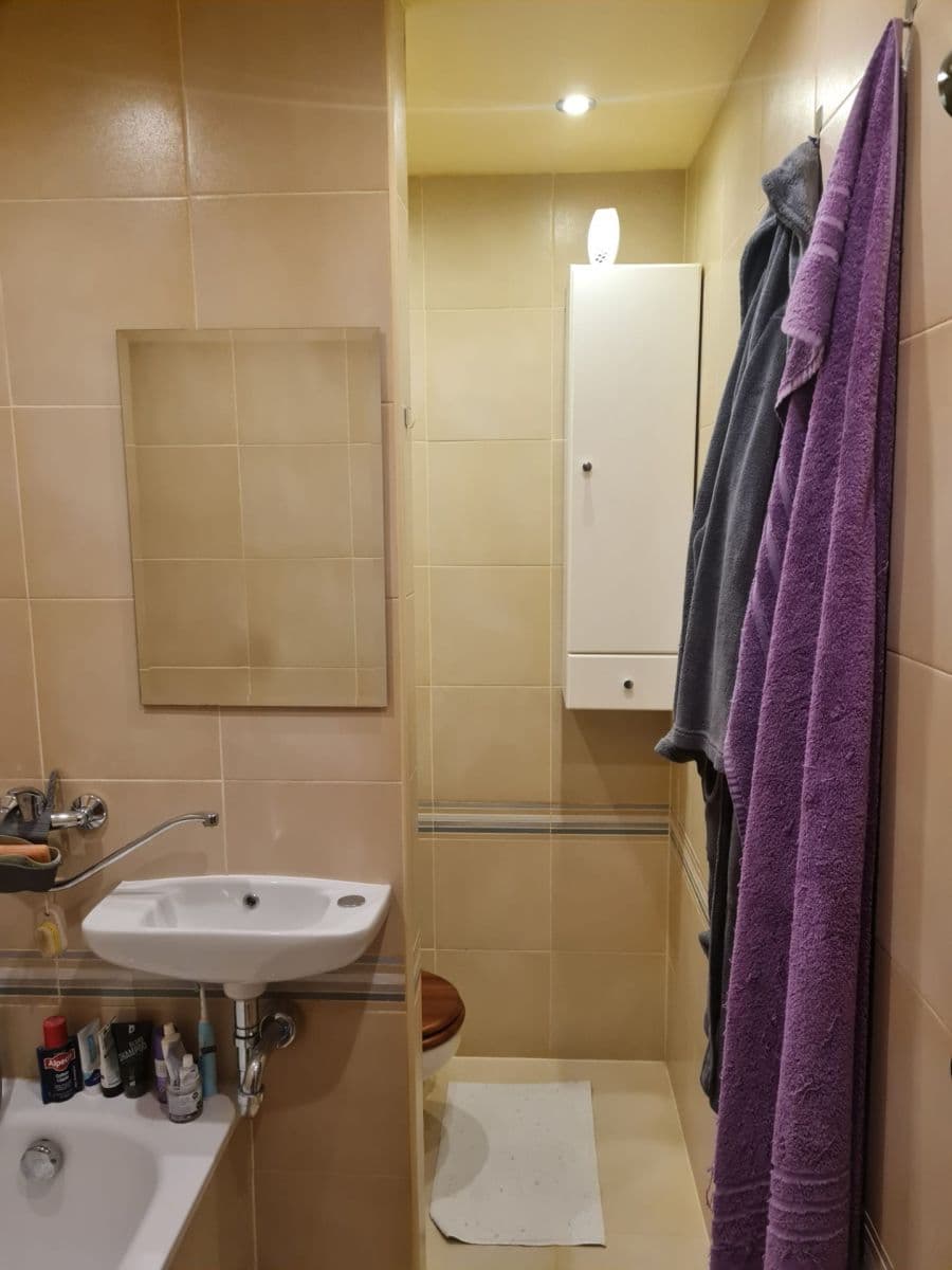 Pronájem bytu 1+kk 36 m², Jesenická, Plzeň, Plzeňský kraj Pronájem bytu 1+kk 36 m², Jesenická, Plzeň, Plzeňský kraj