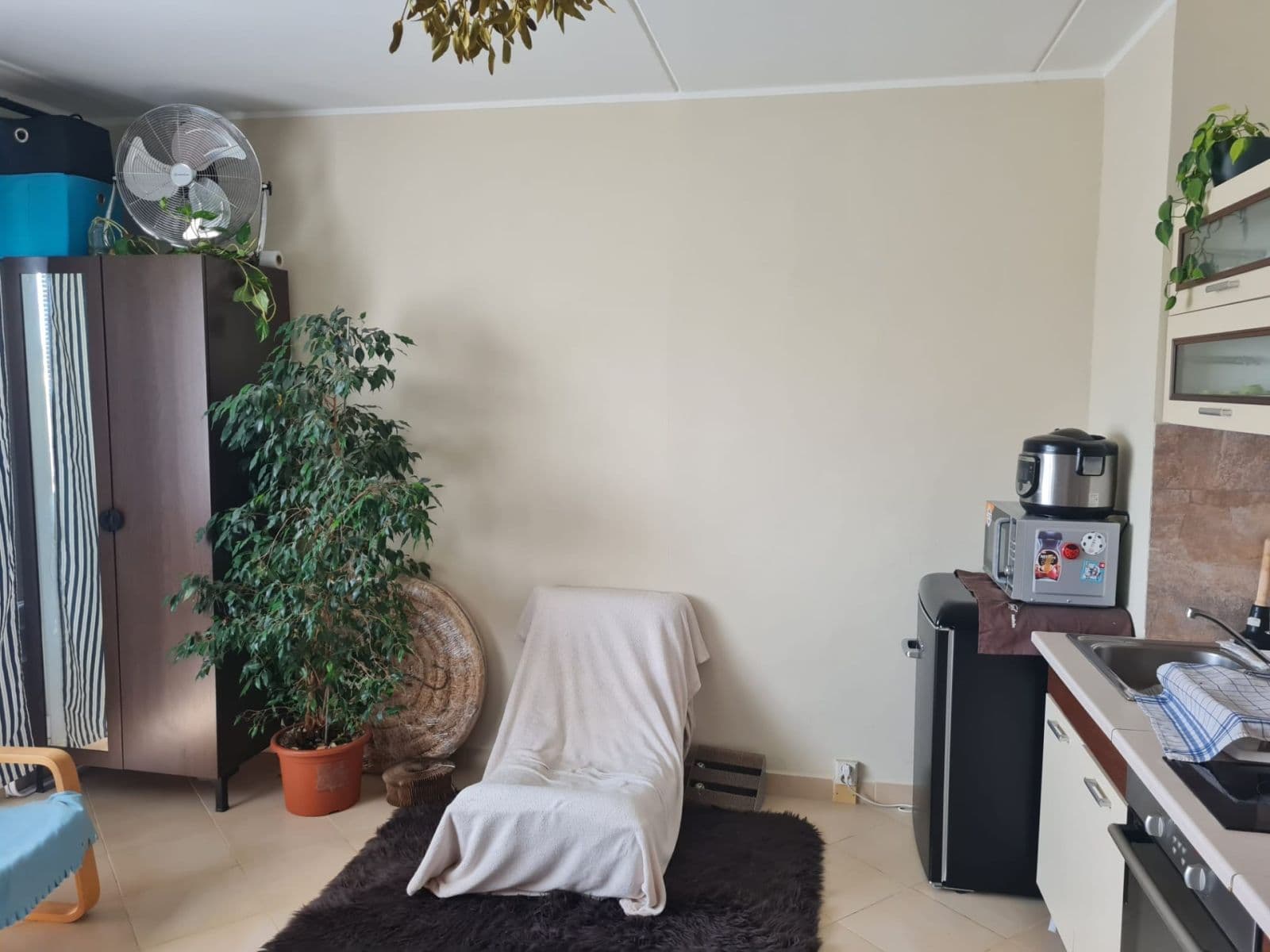Pronájem bytu 1+kk 36 m², Jesenická, Plzeň, Plzeňský kraj Pronájem bytu 1+kk 36 m², Jesenická, Plzeň, Plzeňský kraj