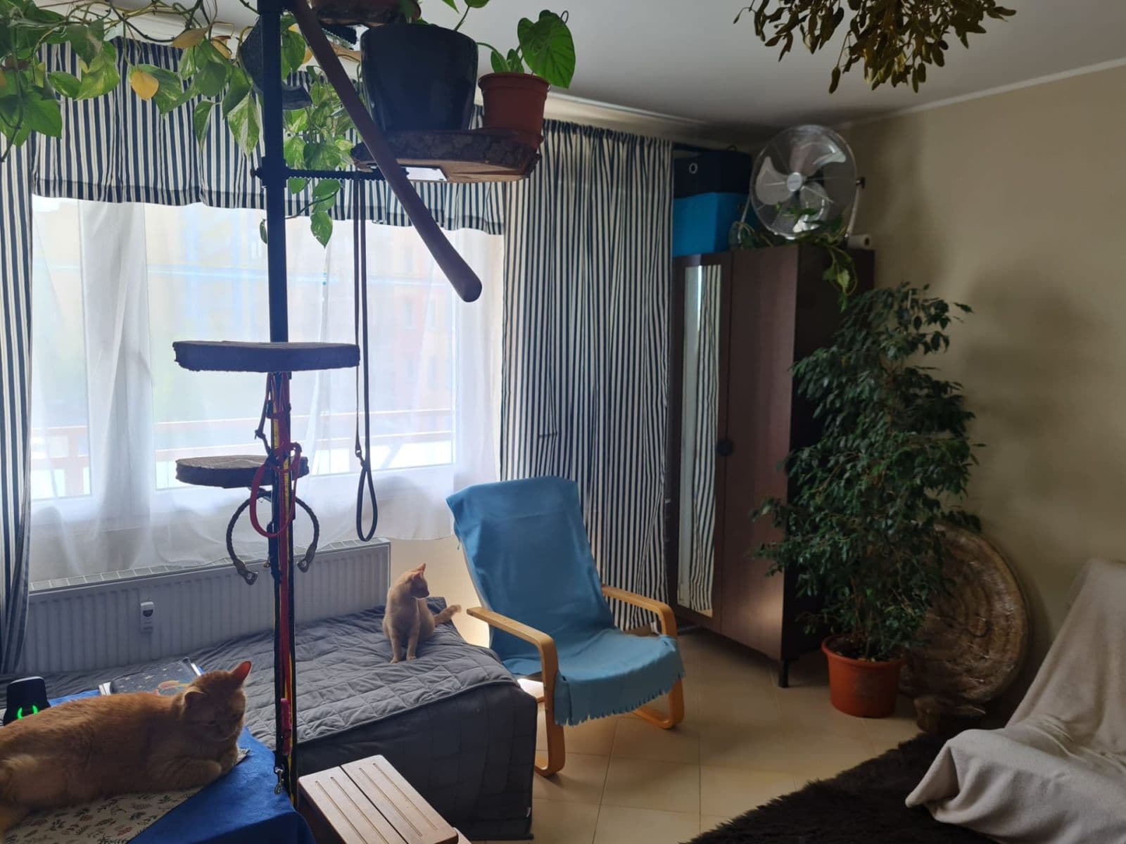 Pronájem bytu 1+kk 36 m², Jesenická, Plzeň, Plzeňský kraj Pronájem bytu 1+kk 36 m², Jesenická, Plzeň, Plzeňský kraj