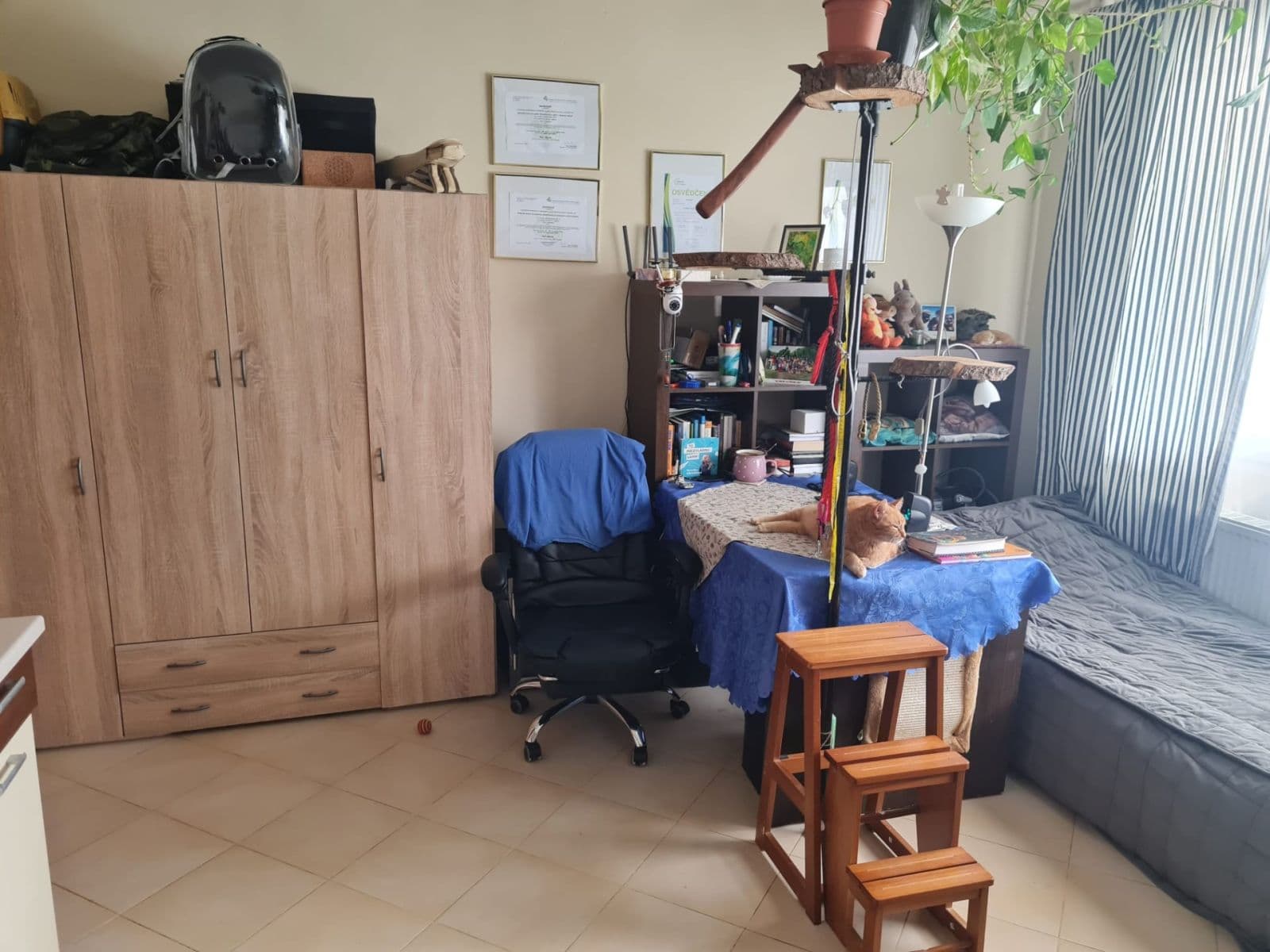 Pronájem bytu 1+kk 36 m², Jesenická, Plzeň, Plzeňský kraj Pronájem bytu 1+kk 36 m², Jesenická, Plzeň, Plzeňský kraj