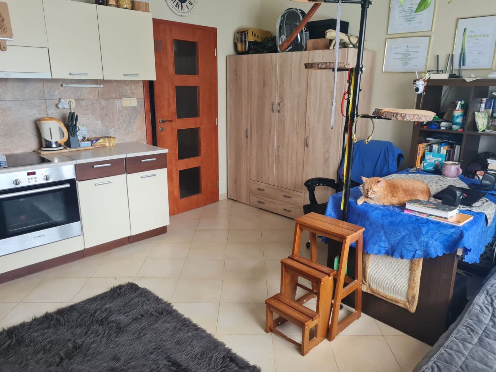Pronájem bytu 1+kk 36 m², Jesenická, Plzeň, Plzeňský kraj Pronájem bytu 1+kk 36 m², Jesenická, Plzeň, Plzeňský kraj