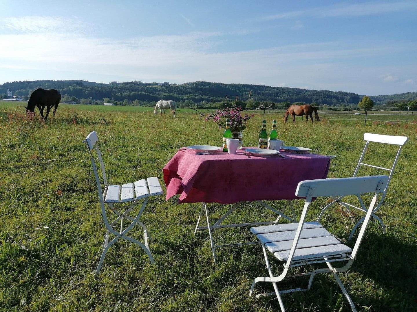 Prodej pozemku 15.000 m², Leutkirch im Allgäu, Bádensko-Württembersko Prodej pozemku 15.000 m², Leutkirch im Allgäu, Bádensko-Württembersko