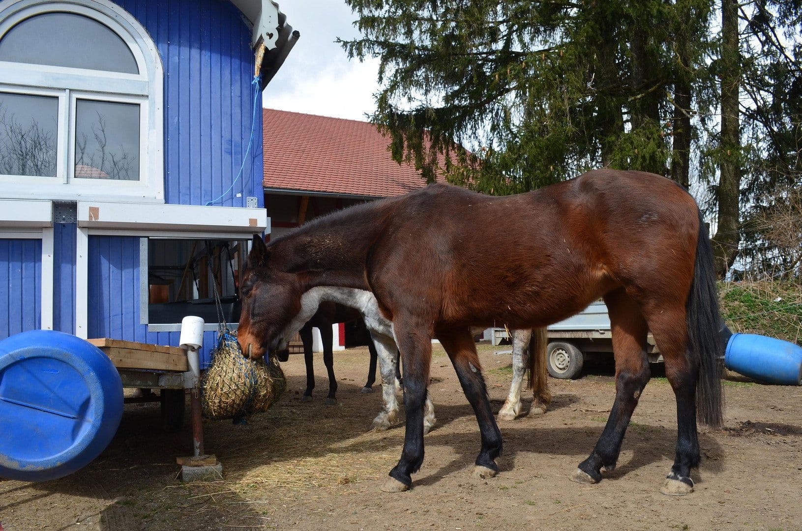 Prodej pozemku 15.000 m², Leutkirch im Allgäu, Bádensko-Württembersko Prodej pozemku 15.000 m², Leutkirch im Allgäu, Bádensko-Württembersko