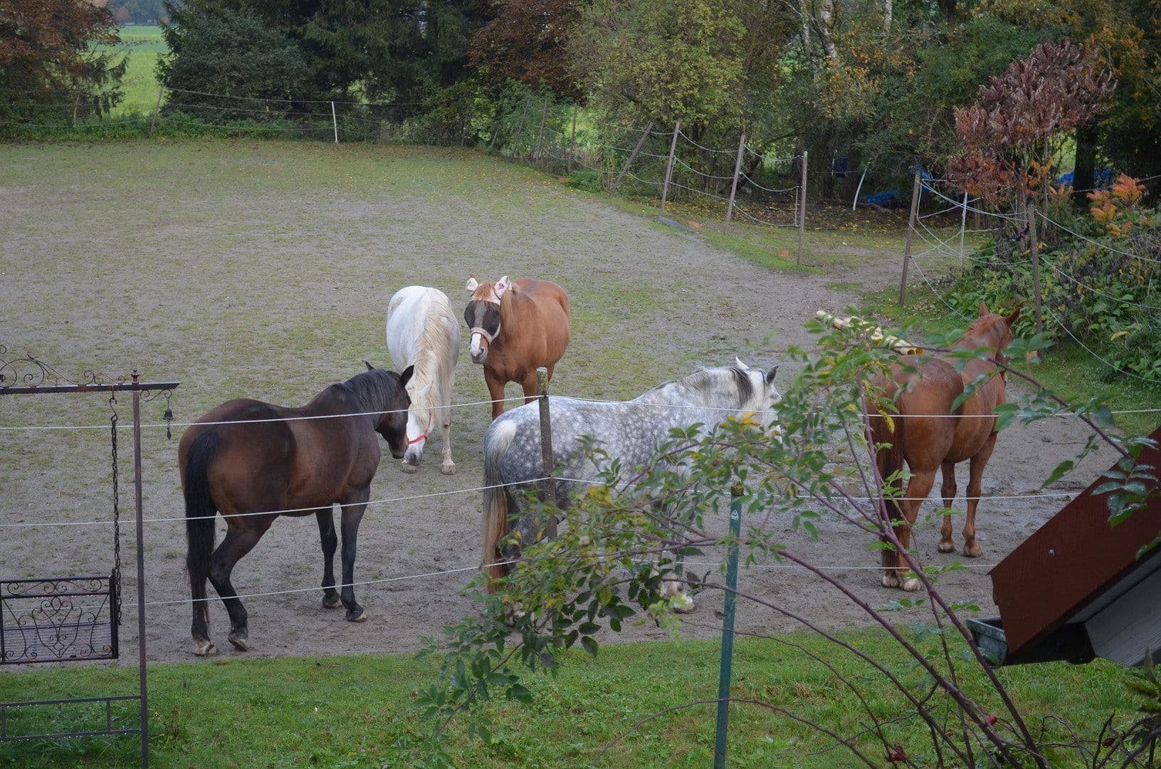 Prodej pozemku 15.000 m², Leutkirch im Allgäu, Bádensko-Württembersko Prodej pozemku 15.000 m², Leutkirch im Allgäu, Bádensko-Württembersko