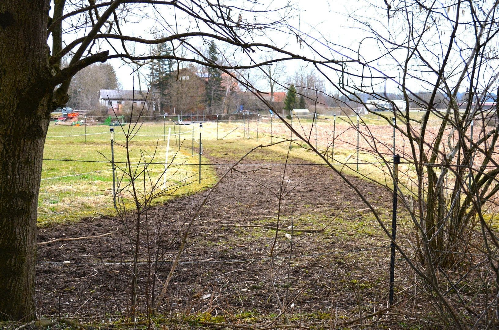 Prodej pozemku 15.000 m², Leutkirch im Allgäu, Bádensko-Württembersko Prodej pozemku 15.000 m², Leutkirch im Allgäu, Bádensko-Württembersko