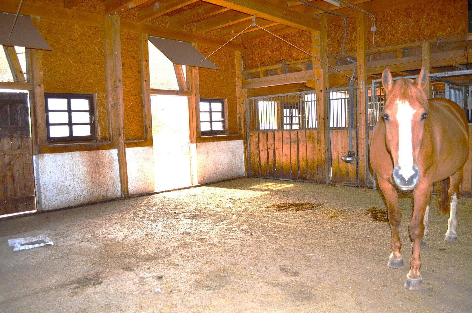 Prodej pozemku 15.000 m², Leutkirch im Allgäu, Bádensko-Württembersko Prodej pozemku 15.000 m², Leutkirch im Allgäu, Bádensko-Württembersko