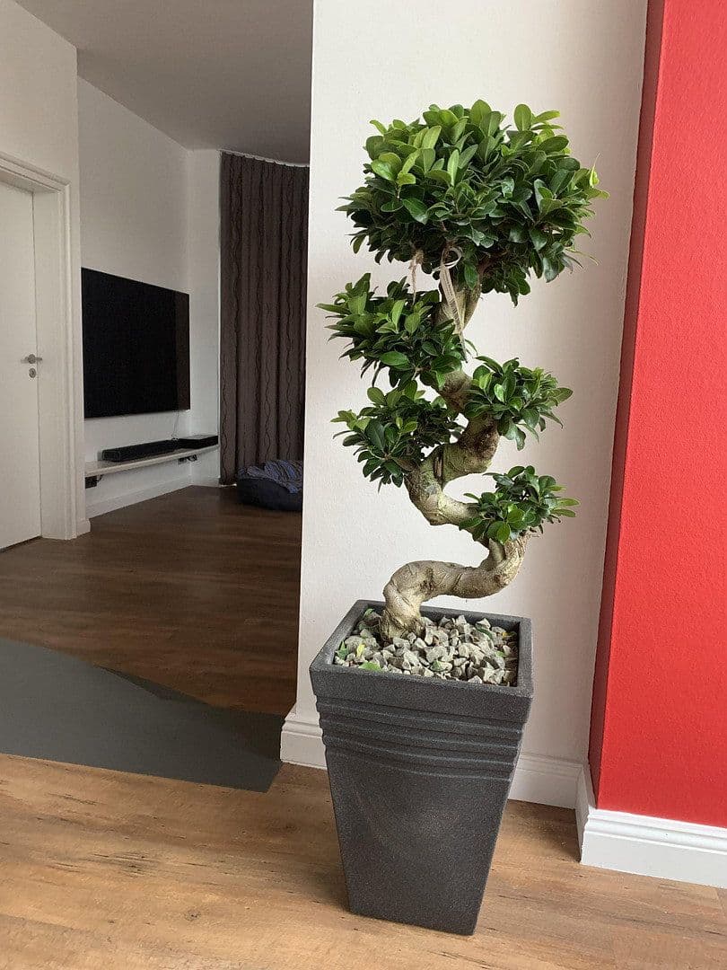 Prodej domu 174 m², pozemek 789 m², Lüninghauser Str. 111, Lilienthal, Dolní Sasko Prodej domu 174 m², pozemek 789 m², Lüninghauser Str. 111, Lilienthal, Dolní Sasko