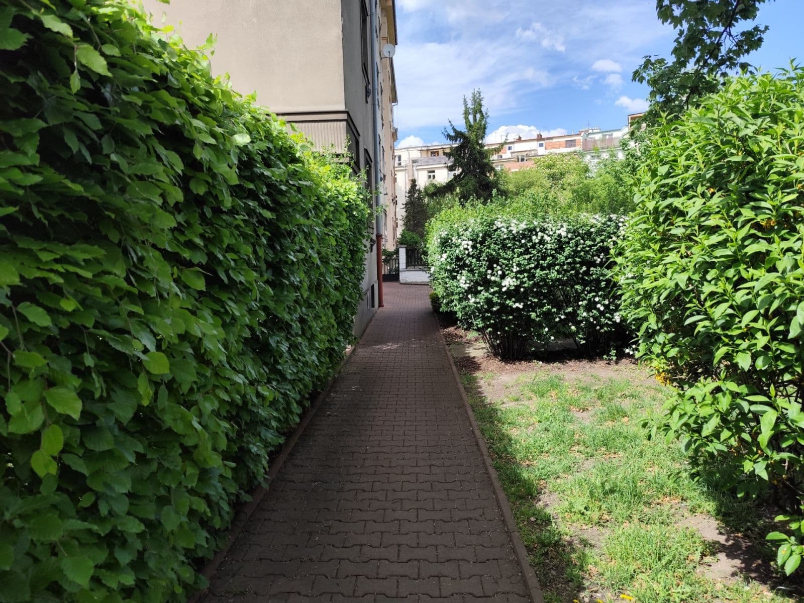 Pronájem bytu 1+1 43 m², V Zálomu, Praha, Praha Pronájem bytu 1+1 43 m², V Zálomu, Praha, Praha