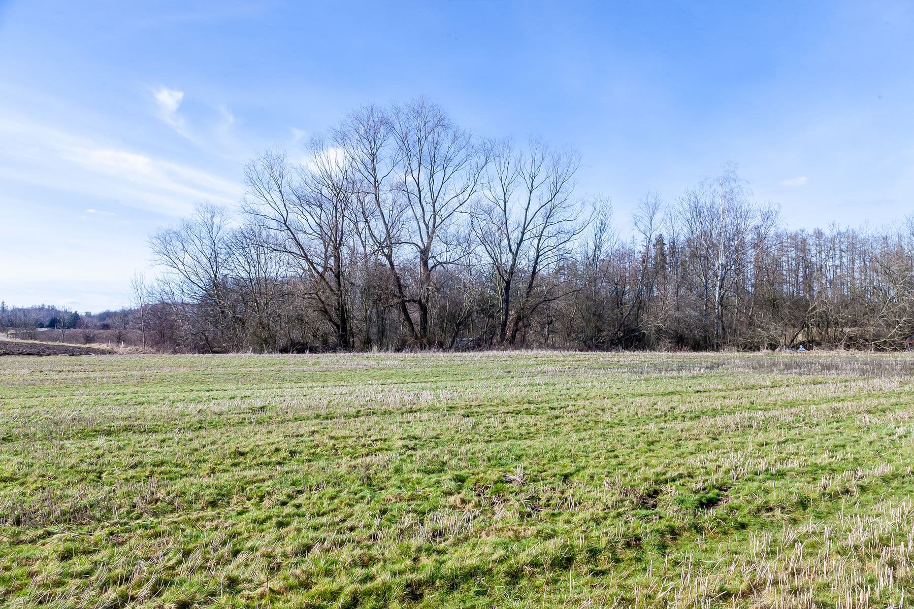 Prodej pozemku 5.987 m², Lesní, Úhonice, Středočeský kraj Prodej pozemku 5.987 m², Lesní, Úhonice, Středočeský kraj