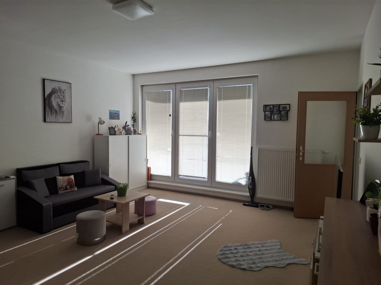 Prodej bytu 1+1 50 m², Maredova, Tábor, Jihočeský kraj Prodej bytu 1+1 50 m², Maredova, Tábor, Jihočeský kraj