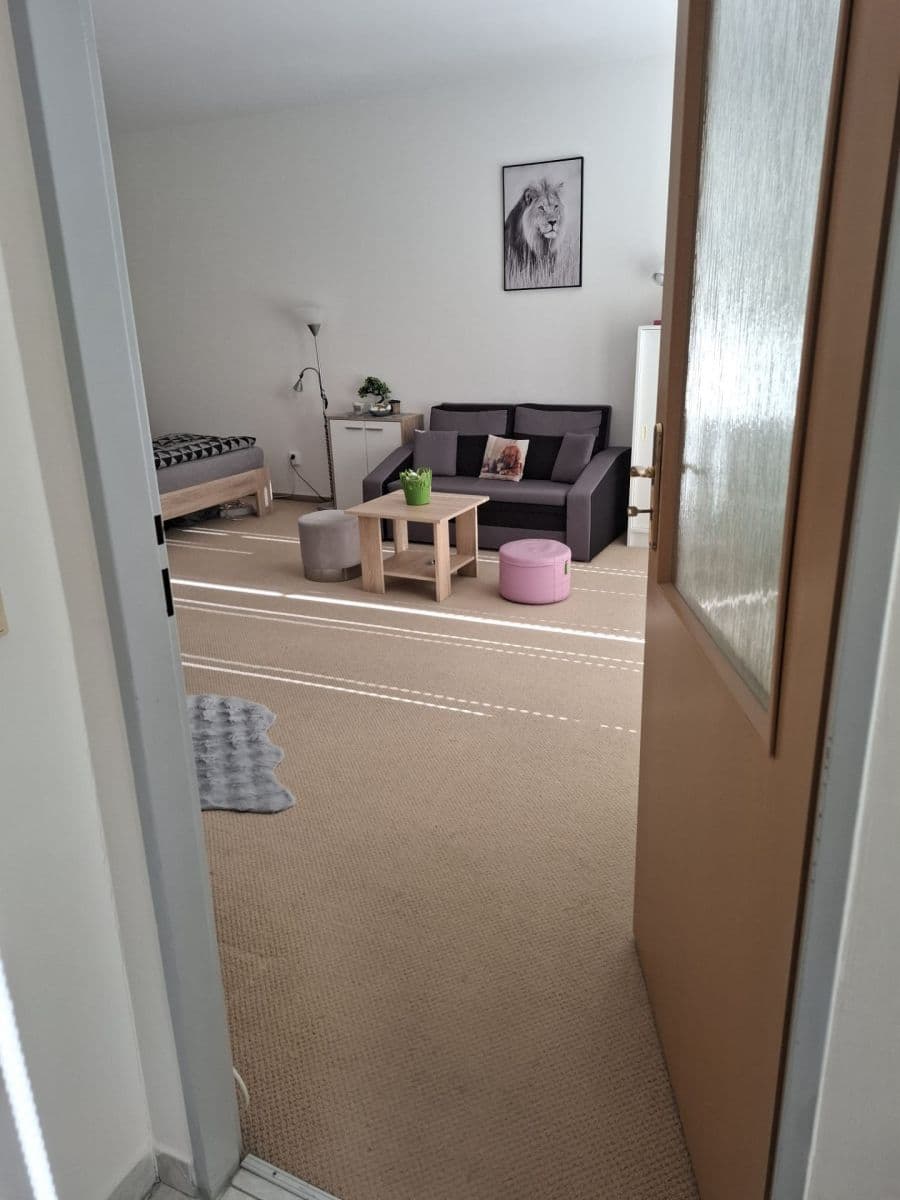Prodej bytu 1+1 50 m², Maredova, Tábor, Jihočeský kraj Prodej bytu 1+1 50 m², Maredova, Tábor, Jihočeský kraj