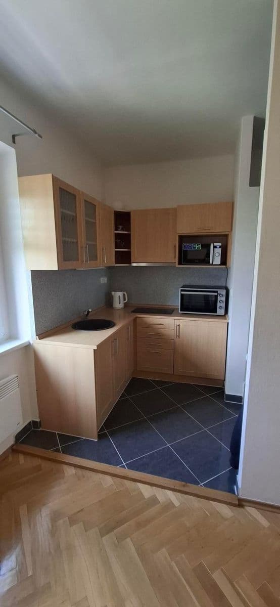 Pronájem bytu 2+kk 48 m², Renneská třída, Brno, Jihomoravský kraj Pronájem bytu 2+kk 48 m², Renneská třída, Brno, Jihomoravský kraj