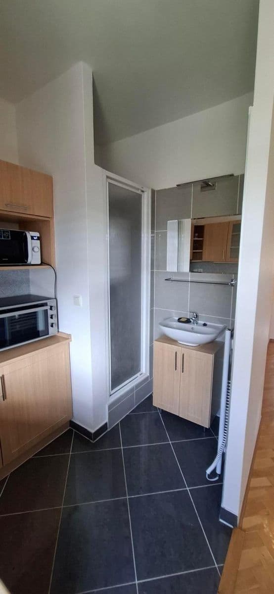 Pronájem bytu 2+kk 48 m², Renneská třída, Brno, Jihomoravský kraj Pronájem bytu 2+kk 48 m², Renneská třída, Brno, Jihomoravský kraj