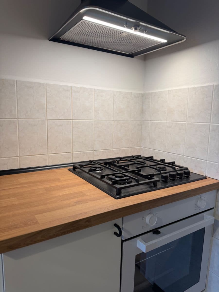 Pronájem bytu 2+1 64 m², Veslařská, Brno, Jihomoravský kraj Pronájem bytu 2+1 64 m², Veslařská, Brno, Jihomoravský kraj