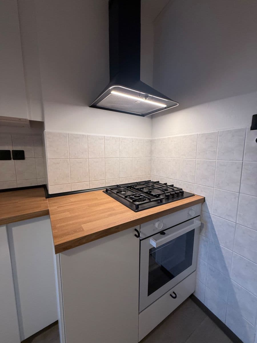 Pronájem bytu 2+1 64 m², Veslařská, Brno, Jihomoravský kraj Pronájem bytu 2+1 64 m², Veslařská, Brno, Jihomoravský kraj