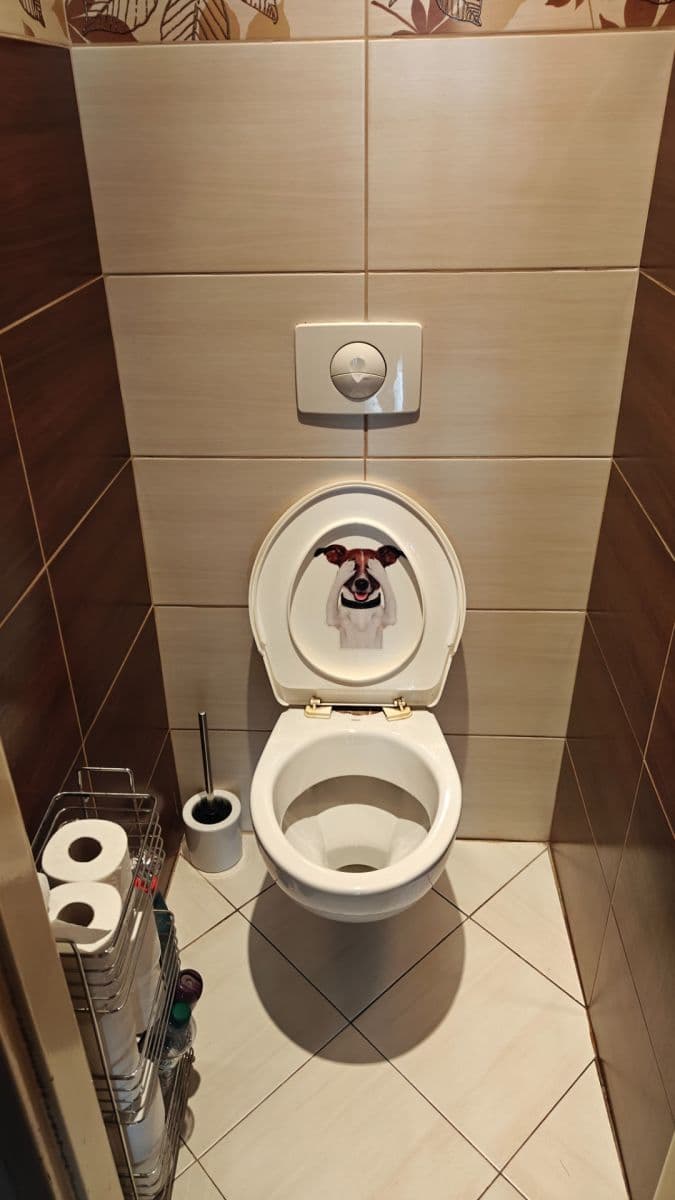 Pronájem bytu 1+1 48 m², Záběhlická, Praha, Praha Pronájem bytu 1+1 48 m², Záběhlická, Praha, Praha