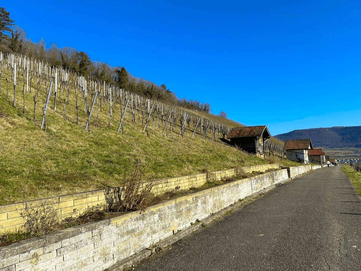 Pronájem bytu 4+1 73 m², Metzingen, Bádensko-Württembersko Pronájem bytu 4+1 73 m², Metzingen, Bádensko-Württembersko