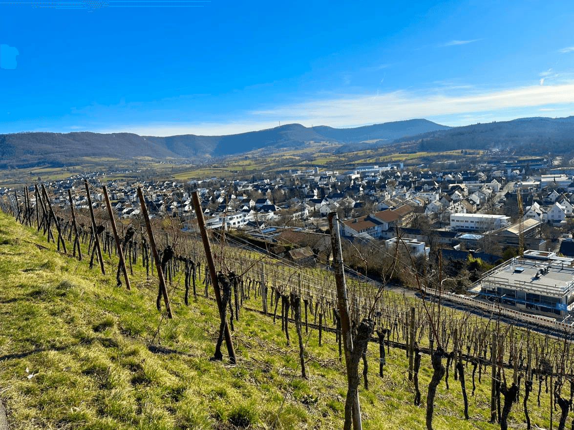 Pronájem bytu 4+1 73 m², Metzingen, Bádensko-Württembersko Pronájem bytu 4+1 73 m², Metzingen, Bádensko-Württembersko