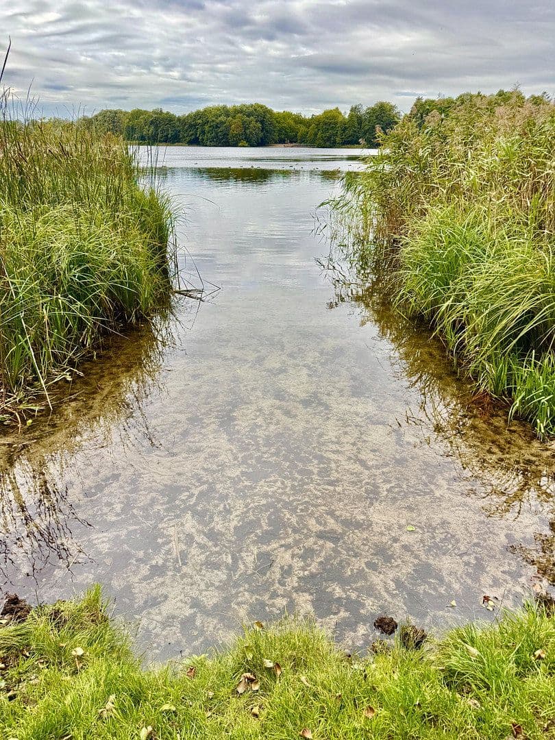 Prodej pozemku 1.013 m², Königs Wusterhausen, Braniborsko Prodej pozemku 1.013 m², Königs Wusterhausen, Braniborsko