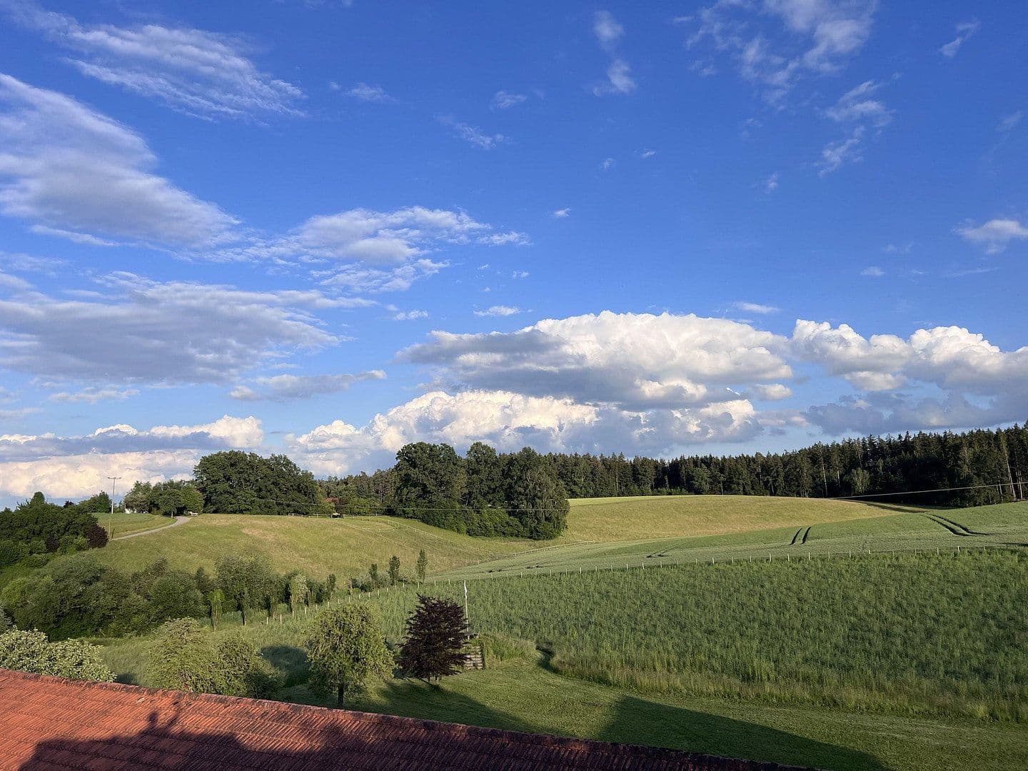 Prodej pozemku 28.000 m², Gerzen, Bavorsko Prodej pozemku 28.000 m², Gerzen, Bavorsko