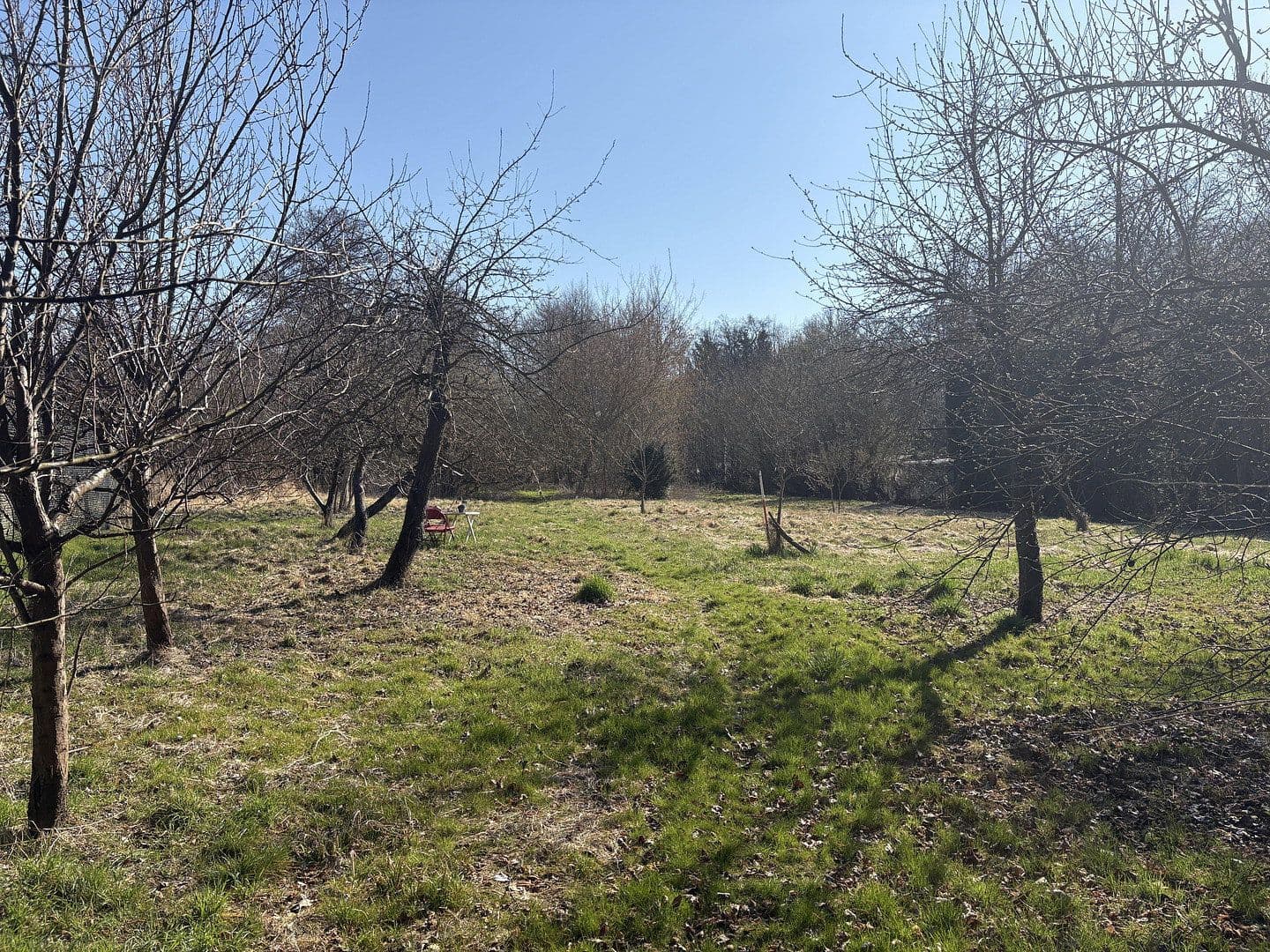 Prodej pozemku 4.340 m², Berliner Chausee 5, Biesenthal, Braniborsko Prodej pozemku 4.340 m², Berliner Chausee 5, Biesenthal, Braniborsko