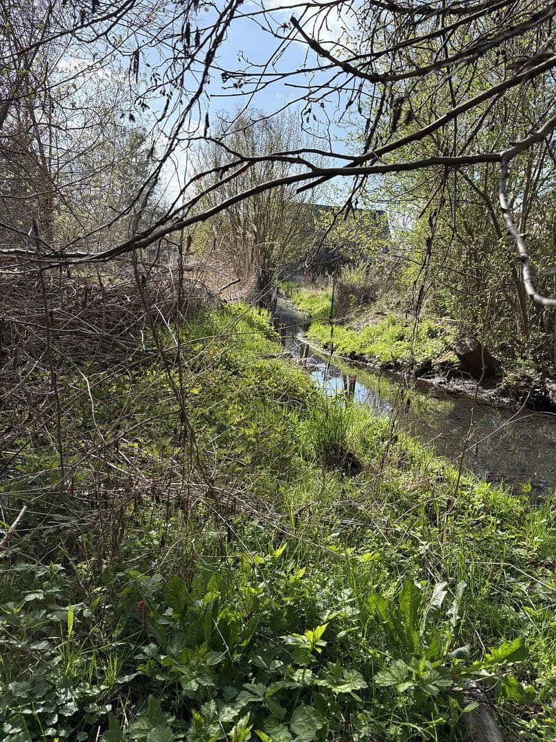 Prodej pozemku 4.340 m², Berliner Chausee 5, Biesenthal, Braniborsko Prodej pozemku 4.340 m², Berliner Chausee 5, Biesenthal, Braniborsko