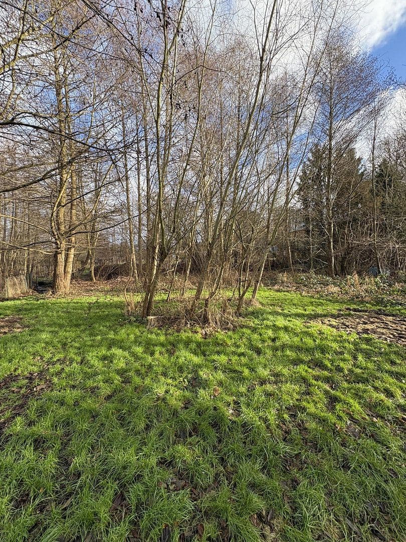 Prodej pozemku 4.340 m², Berliner Chausee 5, Biesenthal, Braniborsko Prodej pozemku 4.340 m², Berliner Chausee 5, Biesenthal, Braniborsko