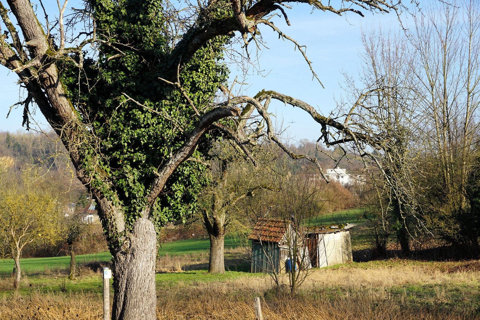 Prodej domu 162 m², pozemek 932 m², Bruchsal, Bádensko-Württembersko Prodej domu 162 m², pozemek 932 m², Bruchsal, Bádensko-Württembersko