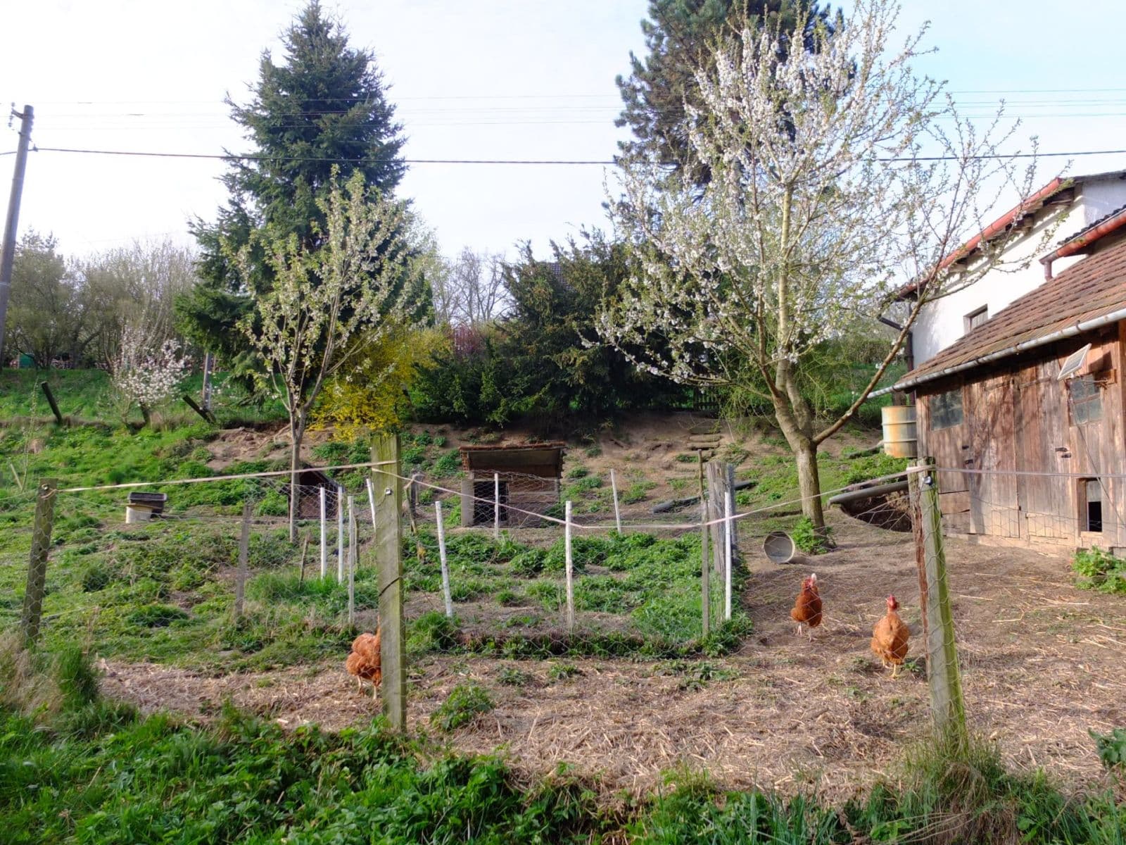 Prodej domu 99 m², pozemek 2.524 m², Vlašim, Středočeský kraj Prodej domu 99 m², pozemek 2.524 m², Vlašim, Středočeský kraj