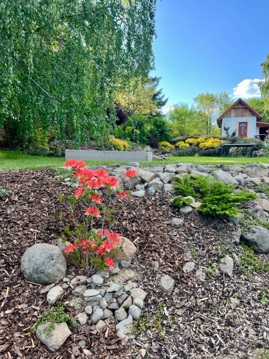 Prodej chaty, chalupy 24 m², pozemek 1.800 m², Česká Lípa, Liberecký kraj Prodej chaty, chalupy 24 m², pozemek 1.800 m², Česká Lípa, Liberecký kraj