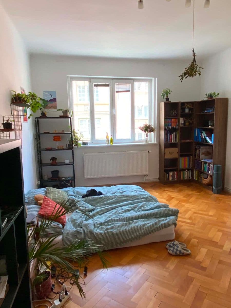 Pronájem bytu 2+1 25 m², Úvoz, Brno, Jihomoravský kraj Pronájem bytu 2+1 25 m², Úvoz, Brno, Jihomoravský kraj