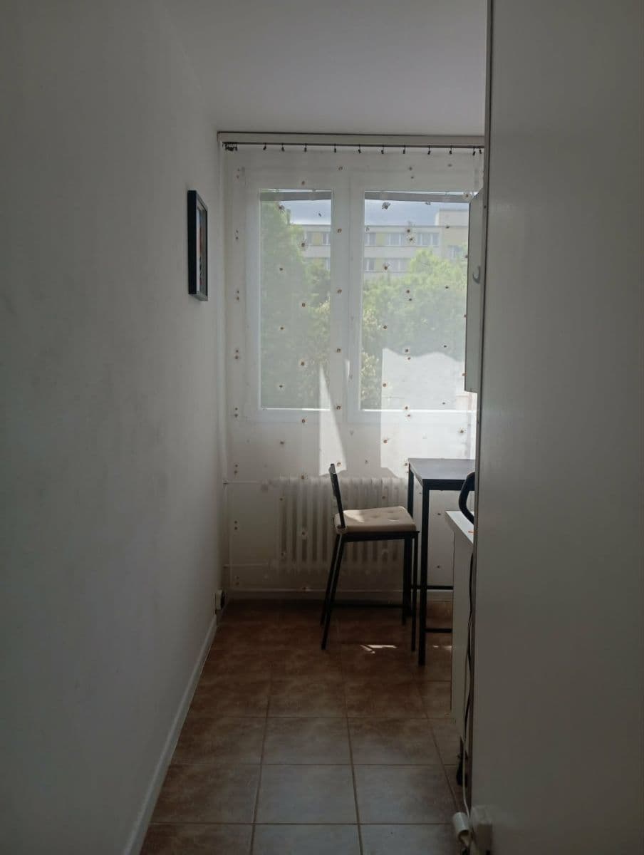 Pronájem bytu 1+1 40 m², Arbesova, Brno, Jihomoravský kraj Pronájem bytu 1+1 40 m², Arbesova, Brno, Jihomoravský kraj