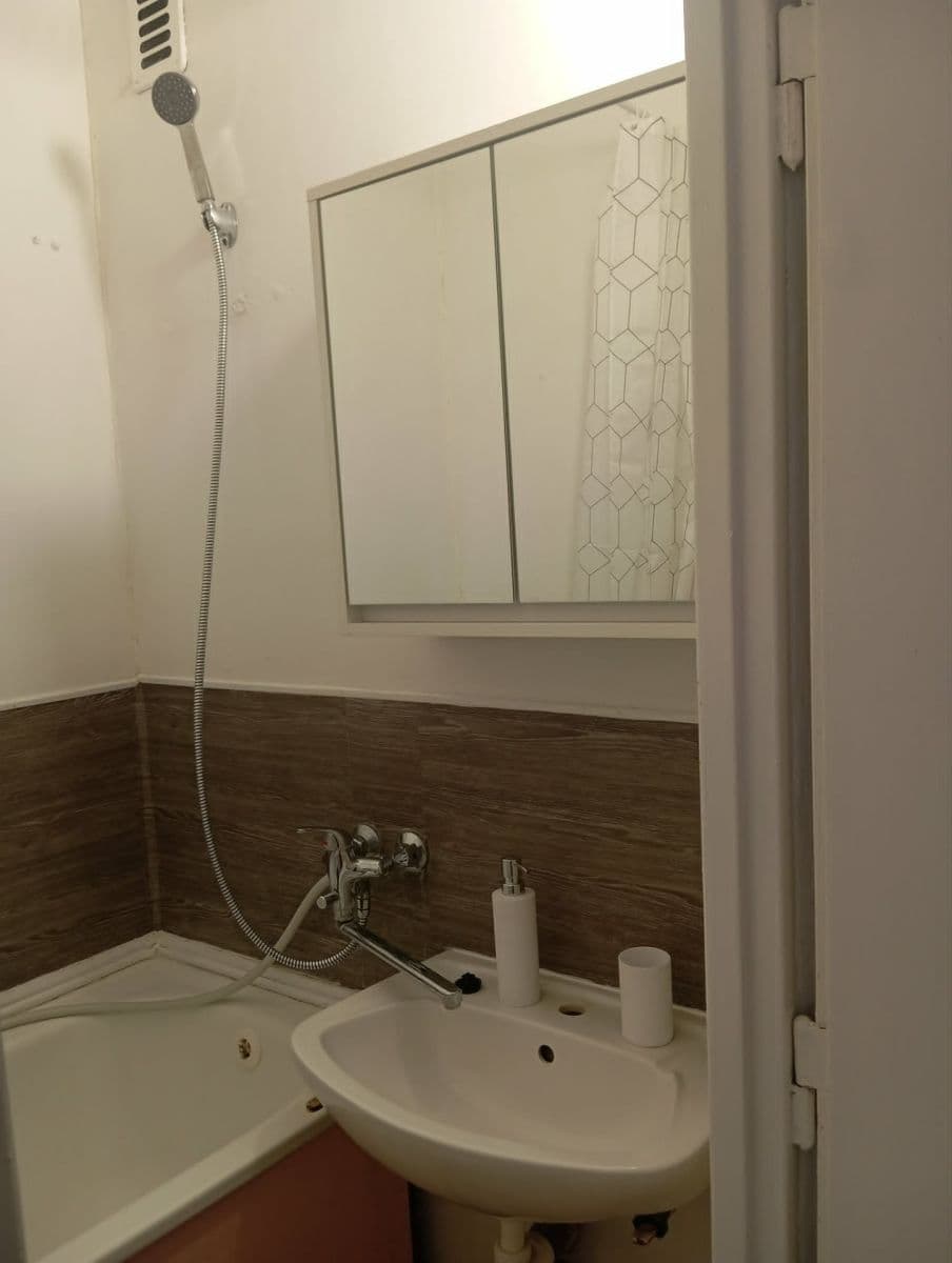Pronájem bytu 1+1 40 m², Arbesova, Brno, Jihomoravský kraj Pronájem bytu 1+1 40 m², Arbesova, Brno, Jihomoravský kraj