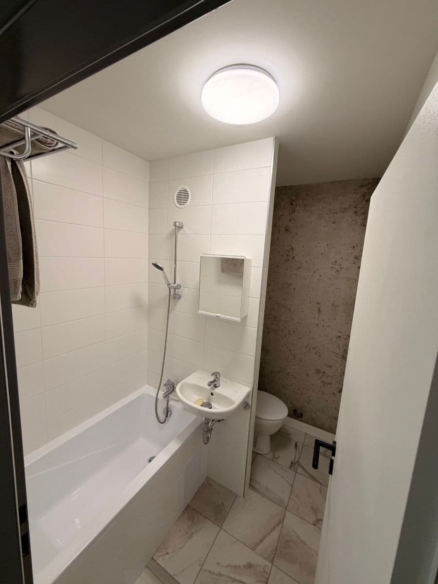 Pronájem bytu 1+1 34 m², Železná, Ústí nad Labem, Ústecký kraj Pronájem bytu 1+1 34 m², Železná, Ústí nad Labem, Ústecký kraj
