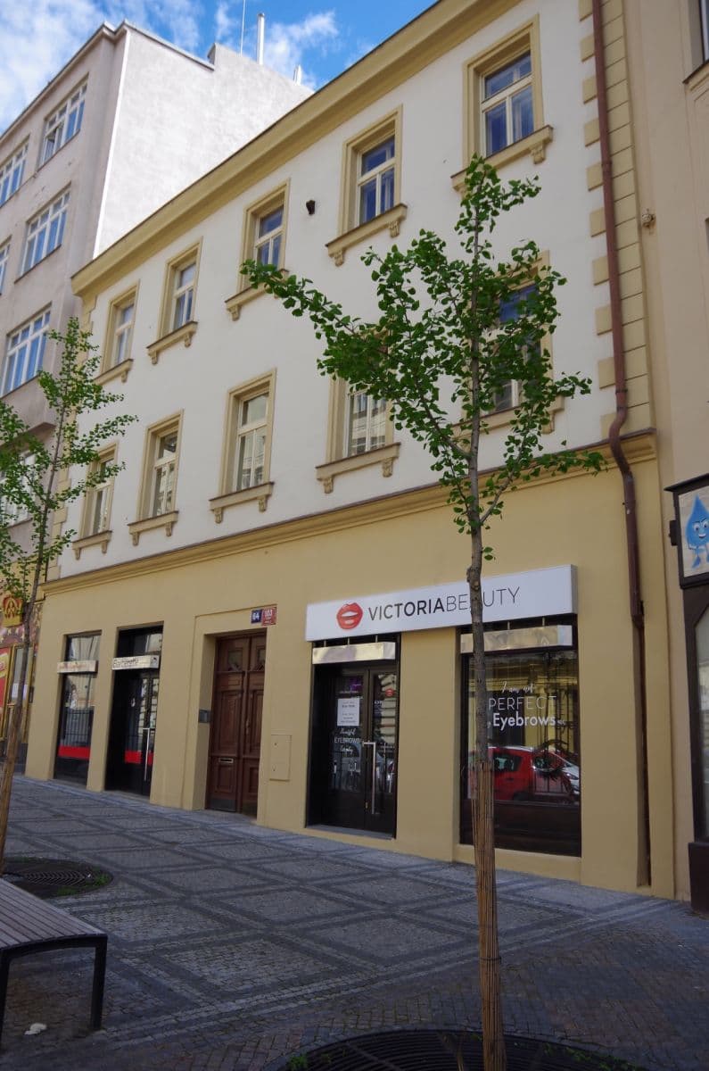 Pronájem bytu 1+1 35 m², Husitská, Praha, Praha Pronájem bytu 1+1 35 m², Husitská, Praha, Praha