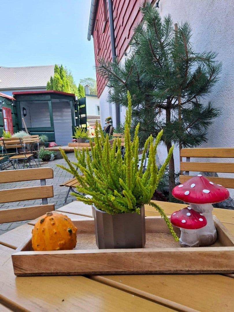Prodej domu 120 m², pozemek 503 m², Deutschneudorfer Str. 1, Seiffen/Erzgebirge, Sasko Prodej domu 120 m², pozemek 503 m², Deutschneudorfer Str. 1, Seiffen/Erzgebirge, Sasko