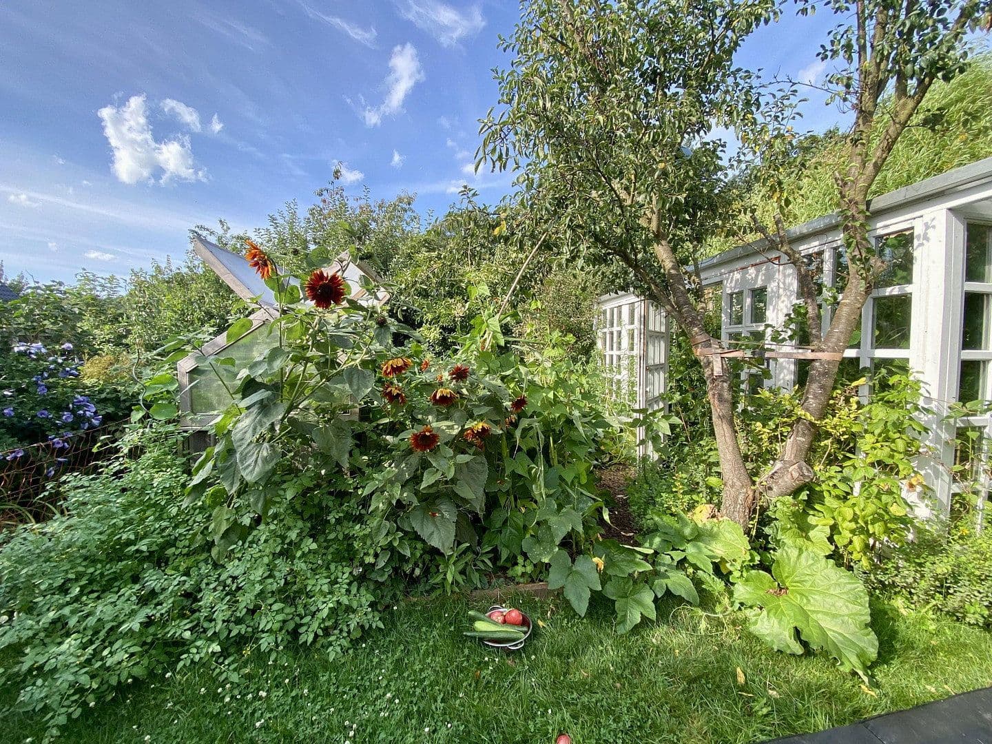 Prodej domu 185 m², pozemek 845 m², Celle, Dolní Sasko Prodej domu 185 m², pozemek 845 m², Celle, Dolní Sasko
