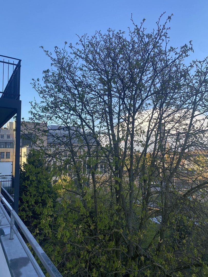 Prodej bytu 3+1 110 m², Wittlich, Porýní-Falc Prodej bytu 3+1 110 m², Wittlich, Porýní-Falc