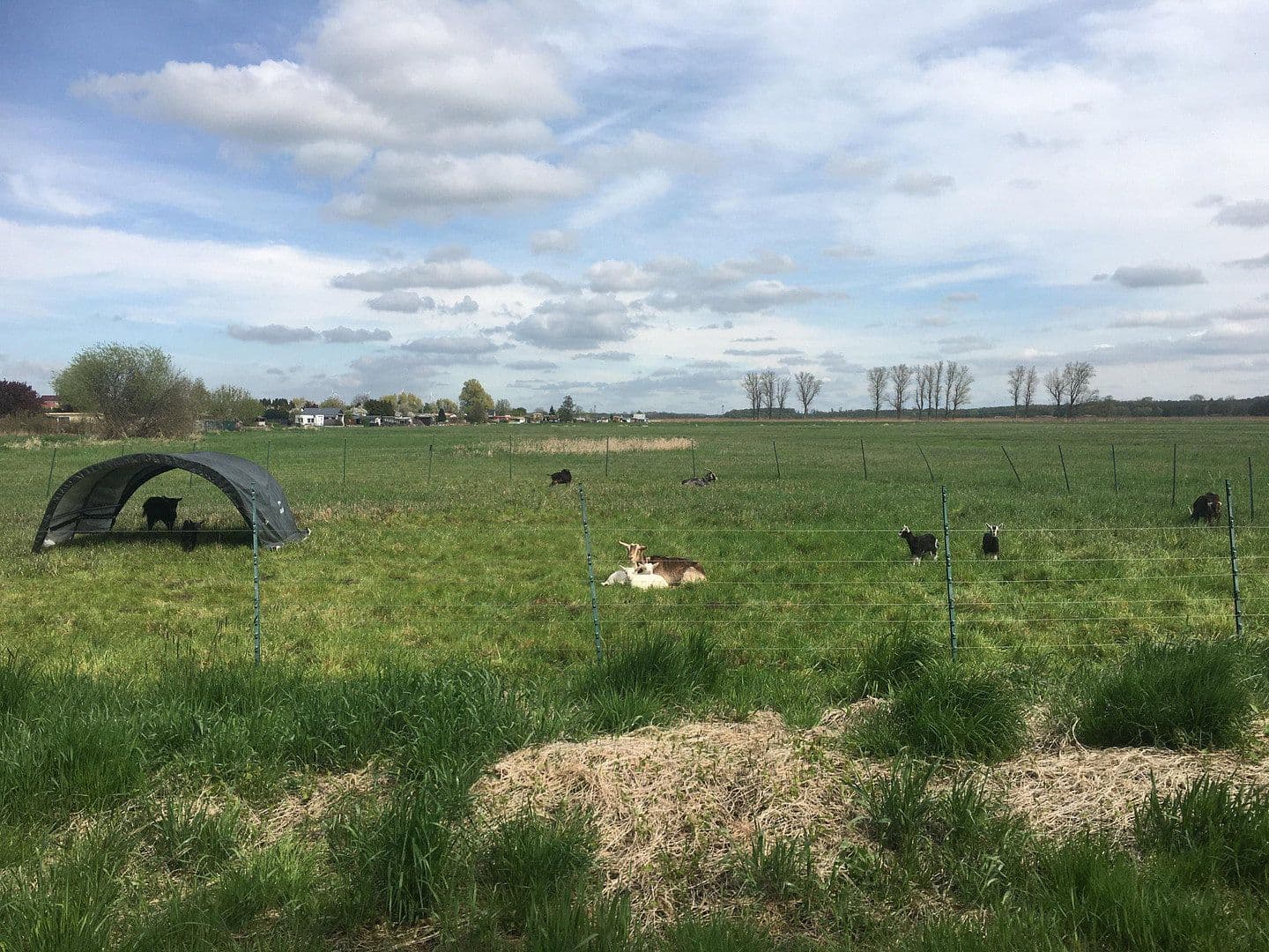 Prodej domu 489 m², pozemek 8.135 m², Bützow, Mecklenburg-Vorpommern Prodej domu 489 m², pozemek 8.135 m², Bützow, Mecklenburg-Vorpommern